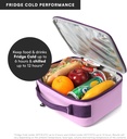 titan-fridge-cold-lunch-box-with-2-350g--2.jpg