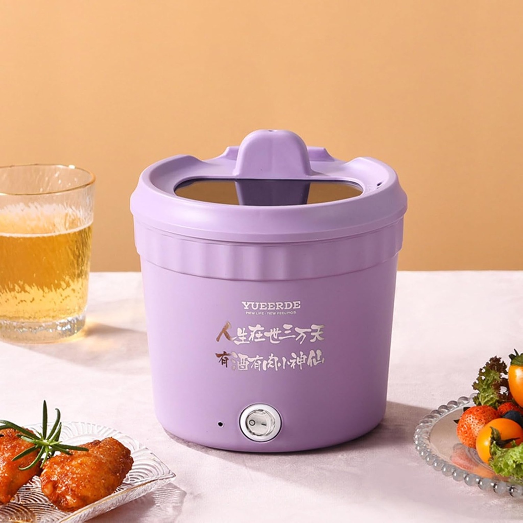 110v-electric-hot-pots-electric-cooking--6.jpg