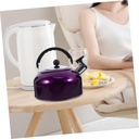 stainless-steel-kettle-drum-electric-tea-5.jpg