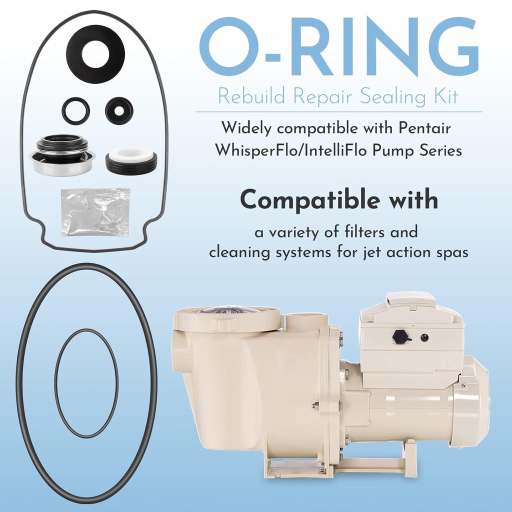 o-ring-rebuild-repair-kit-for-pentair-wh-2.jpg