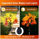fall-solar-lights-outdoor-decorative-4pa-3.jpg