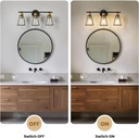 3-light-bathroom-light-fixtures-over-mir-6.jpg