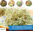 nature-jims-sprouts-alfalfa-seeds-non-gm-3.jpg