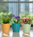 4-inch-plant-pots-6-pack-indoor-flower-p-6.jpg