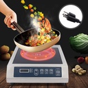 portable-induction-cooktop14-shatter-pro-3.jpg