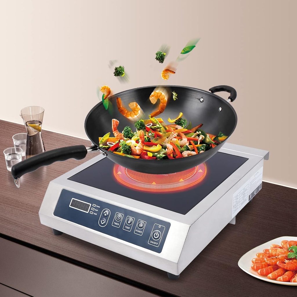 portable-induction-cooktop14-shatter-pro-4.jpg
