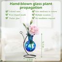 hand-blown-glass-plant-propagation-stati-6.jpg
