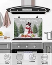 snowman-countertop-burners-protection-ma-5.jpg