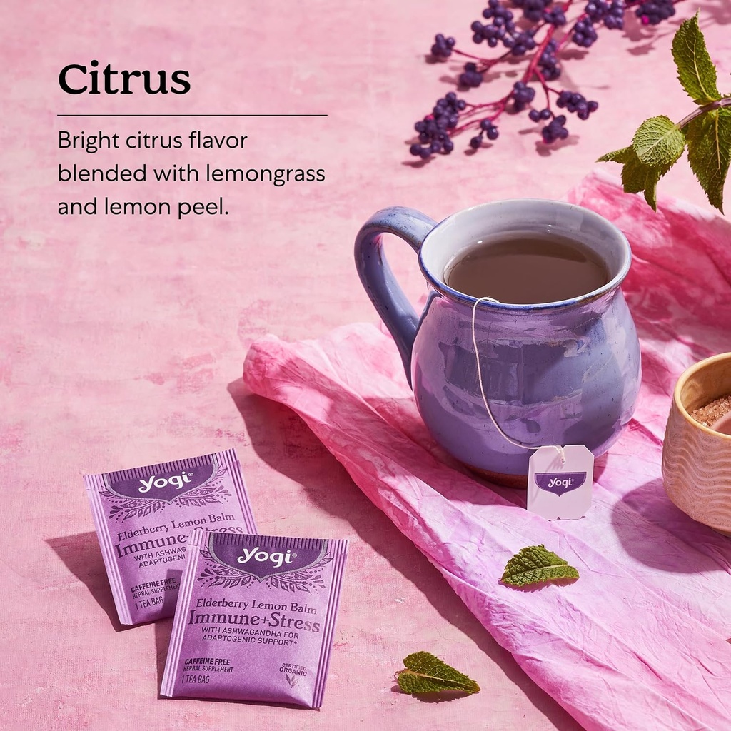 yogi-tea-elderberry-lemon-stress-immune--4.jpg