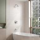 tub-and-shower-trim-kit-tub-and-shower-f-4.jpg