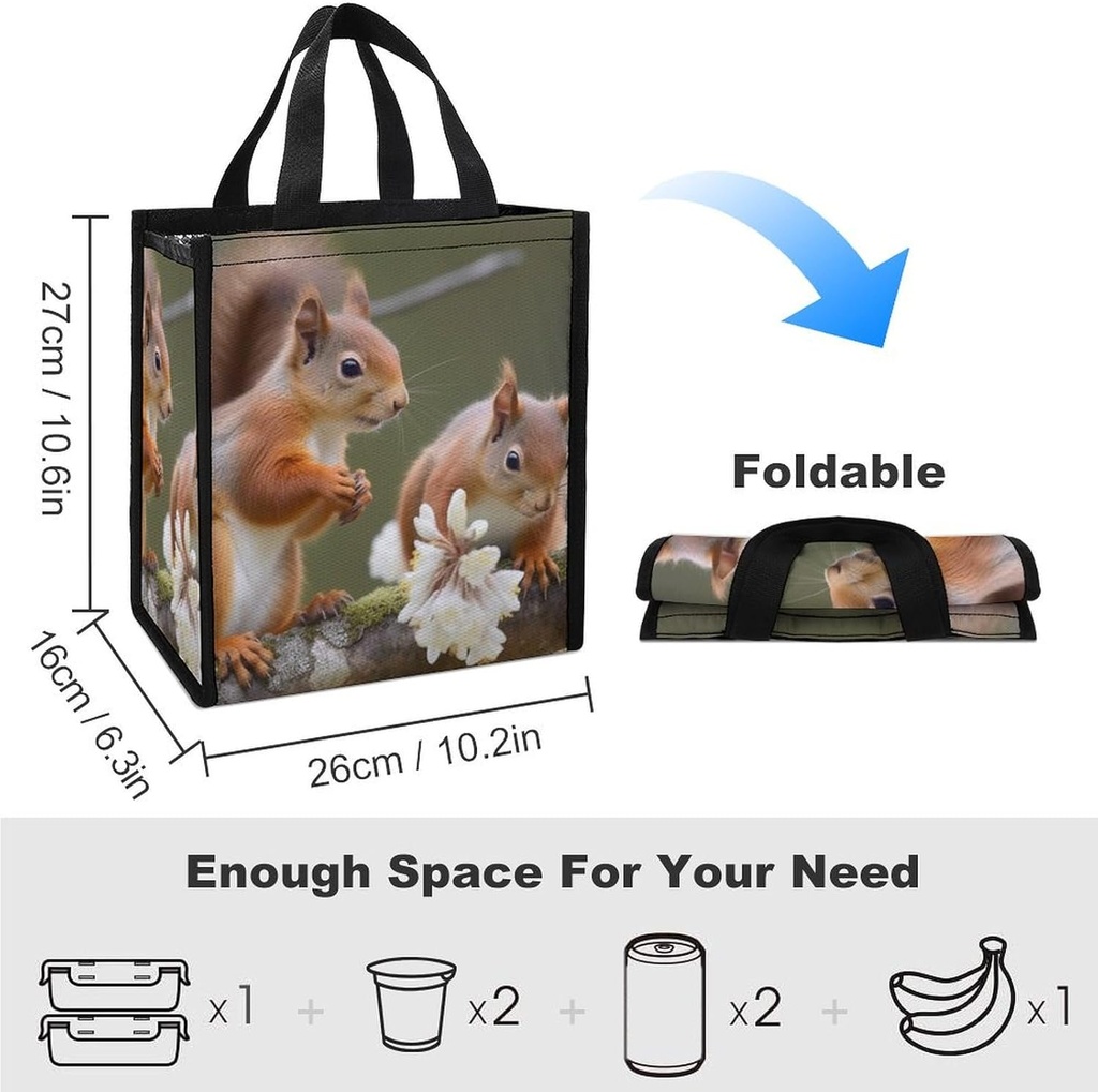 squirrels-lunch-bag-lunch-box-for-women--2.jpg