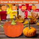 pumpkin-soup-bowls-with-lid-15-oz-casser-4.jpg