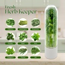 herb-keeper-for-refrigerator-set-of-3-co-4.jpg