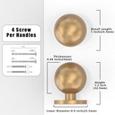 10-pack-champagne-bronze-cabinet-knobs---2.jpg