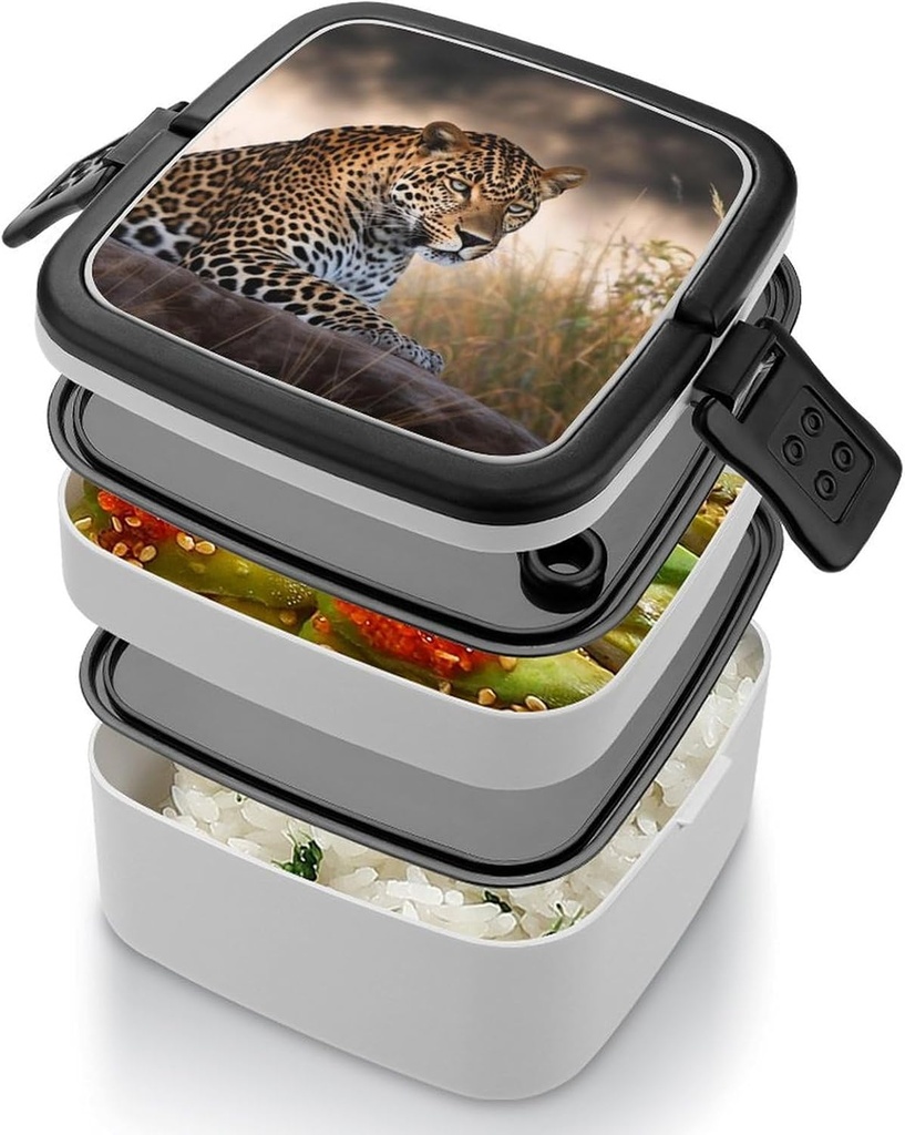 african-animal-leopard-bento-box-double--5.jpg