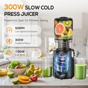 cold-press-juicer-machines-53-large-feed-3.jpg
