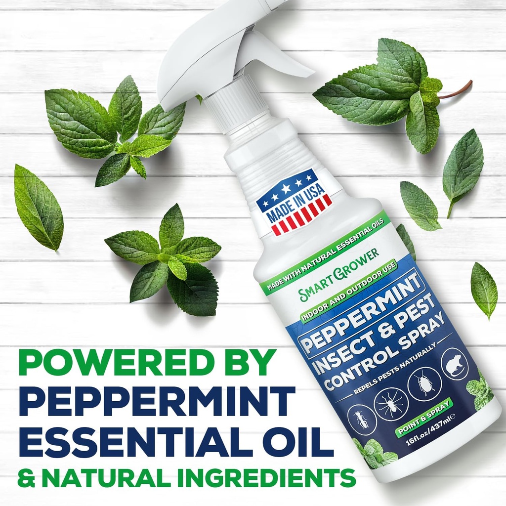 all-natural-peppermint-oil-insect-pest-c-2.jpg