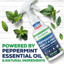 all-natural-peppermint-oil-insect-pest-c-2.jpg