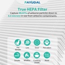 2-pack-g3-a3-replacement-filter-for-amei-6.jpg