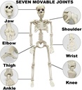 36-skeleton-halloween-decorations-3ft-re-4.jpg