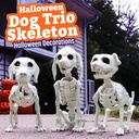 halloween-dog-skeleton-3-pack-indooroutd-3.jpg