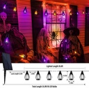 ibaycon-solar-halloween-lights-27ft-10-l-3.jpg