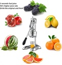professional-citrus-juicer-commercial-gr-4.jpg