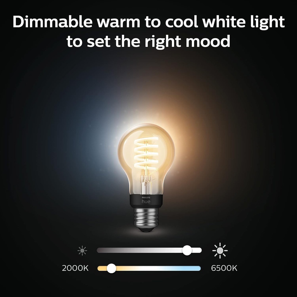 philips-hue-smart-40w-a19-filament-led-b-4.jpg