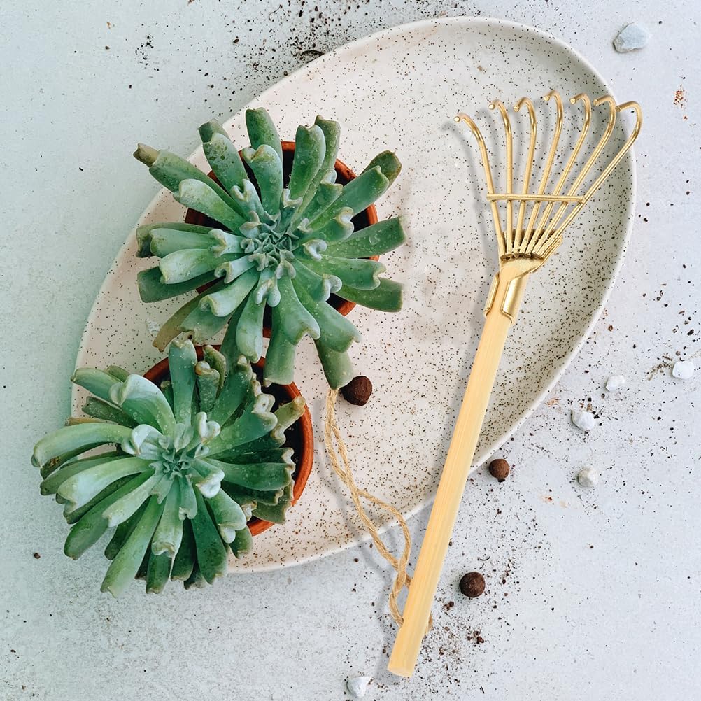 logofun-6pcs-mini-zen-garden-rake-miniat-3.jpg