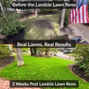 landzie---the-original-lawn-leveling-rak-5.jpg