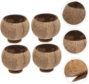 xinrui-4pcs-coconut-shell-bowls-set-rust-2.jpg