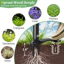 60-stand-up-weed-puller-tool-with-long-h-3.jpg