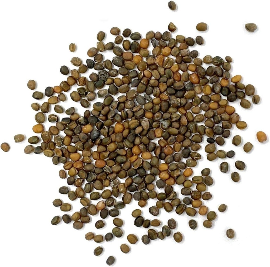 purely-organic-arugula-seeds-slow-bolt---2.jpg