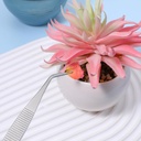 garden-tweezers-3-pcs-stainless-steel-pl-5.jpg