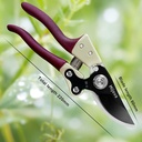 stainless-steel-plant-shears-6.jpg