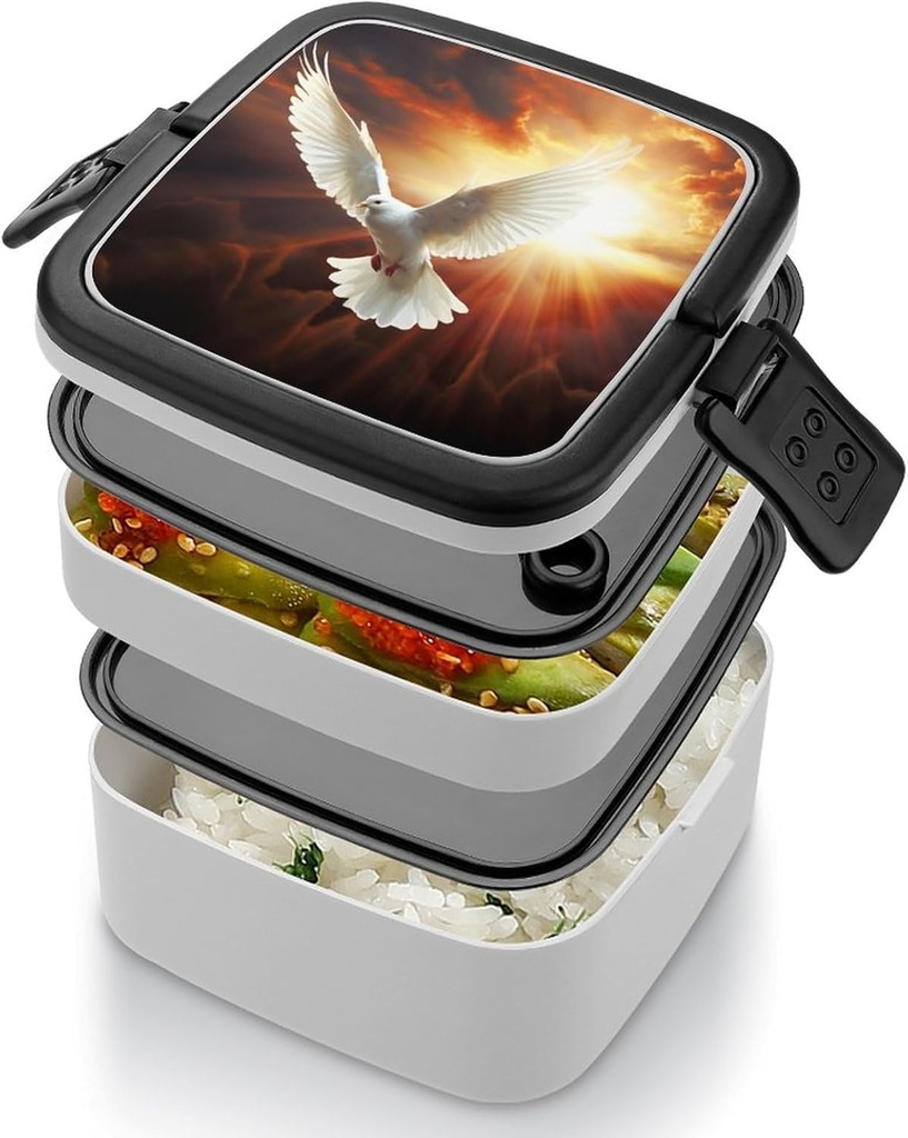 bento-box-for-adult-dove-sun-art-bento-l-5.jpg