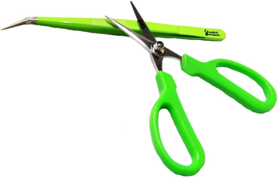 gardening-scissors-and-tweezers-combo-2.jpg