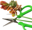 gardening-scissors-and-tweezers-combo-3.jpg