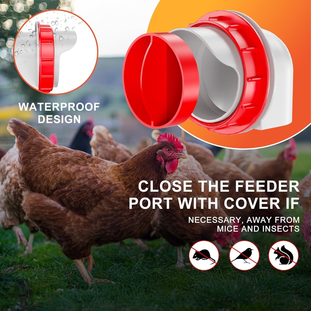 chicken-feeders-no-waste-diy-automatic-p-4.jpg