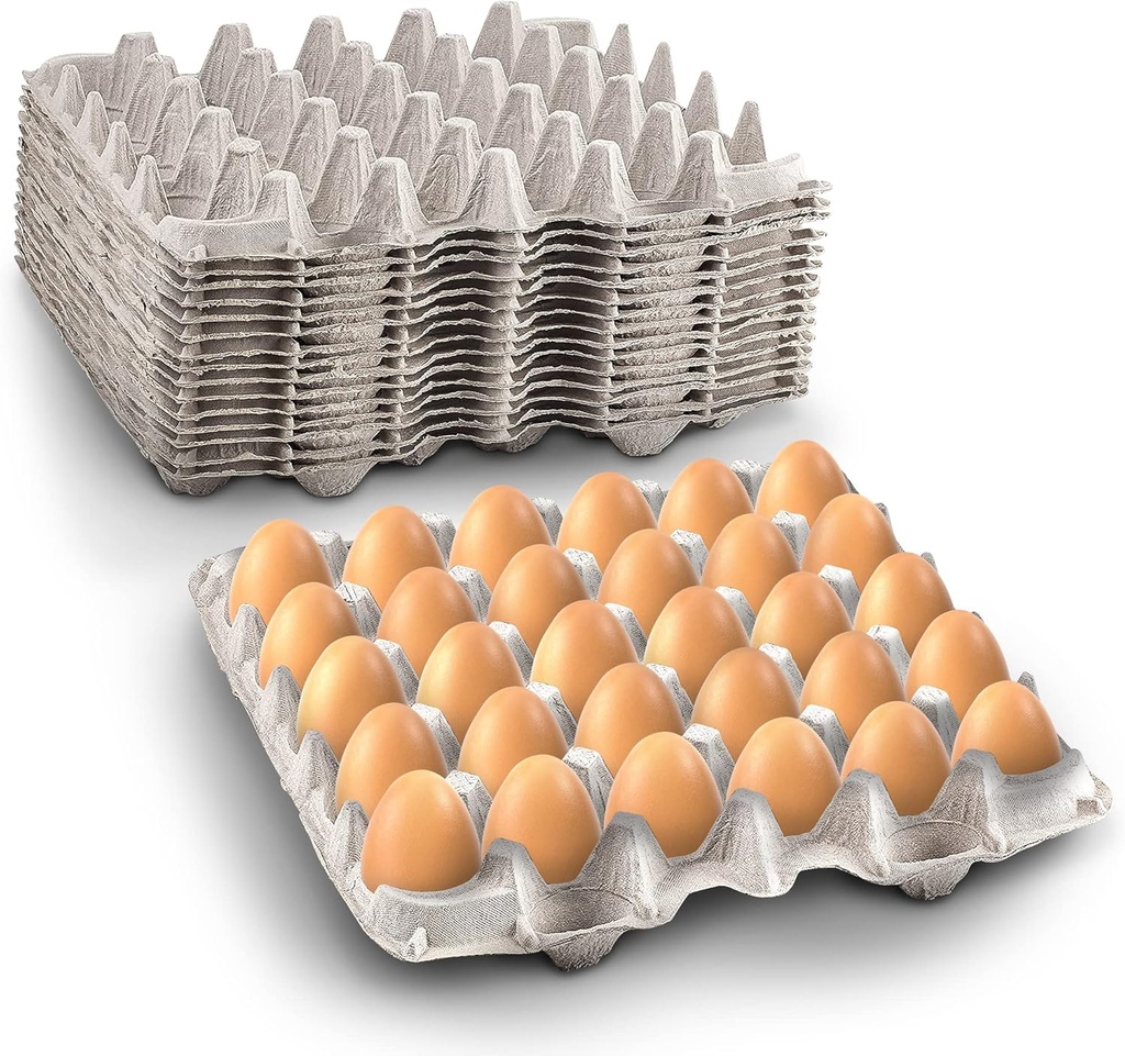 mt-products-pulp-fiber-egg-flat-cartons--2.jpg