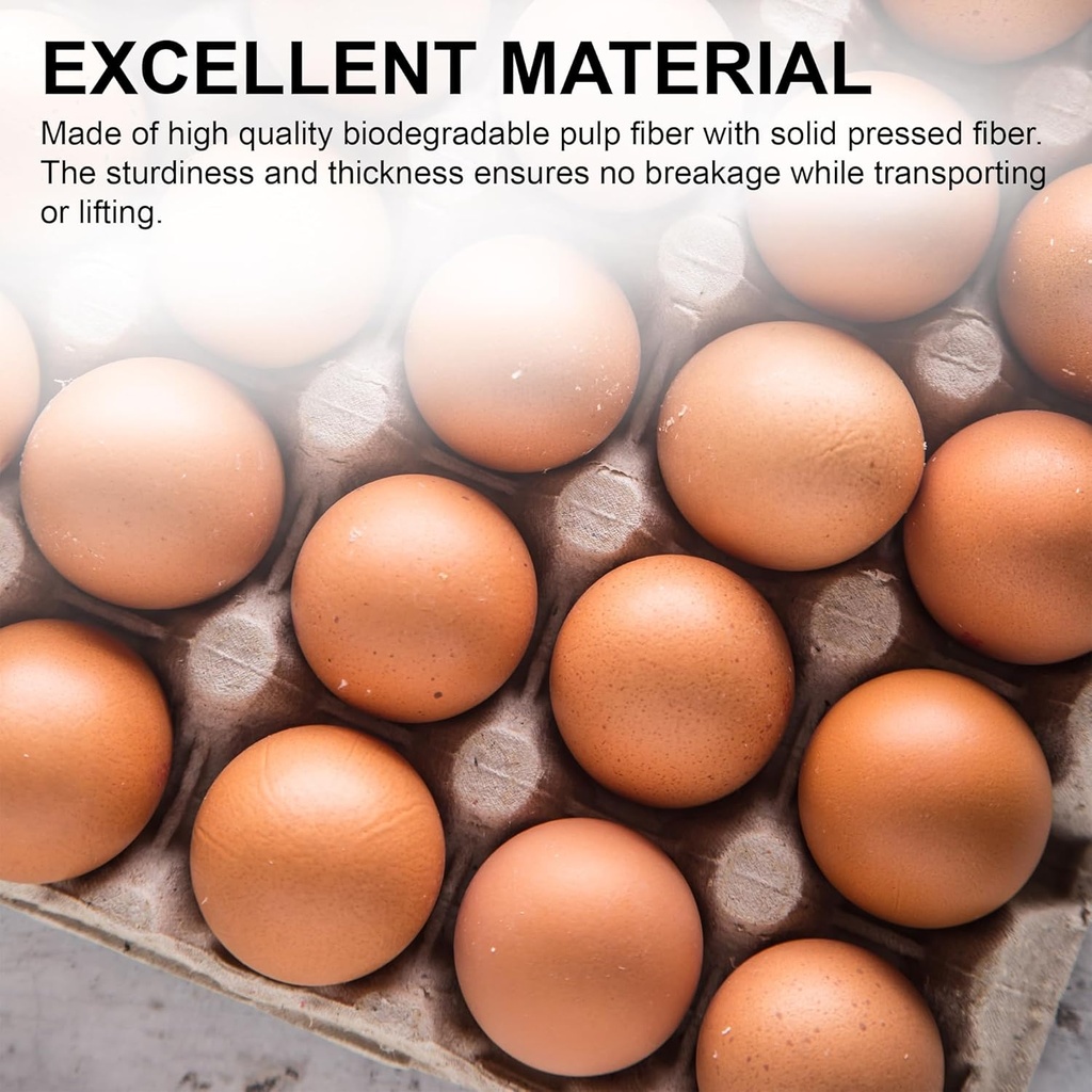 mt-products-pulp-fiber-egg-flat-cartons--4.jpg
