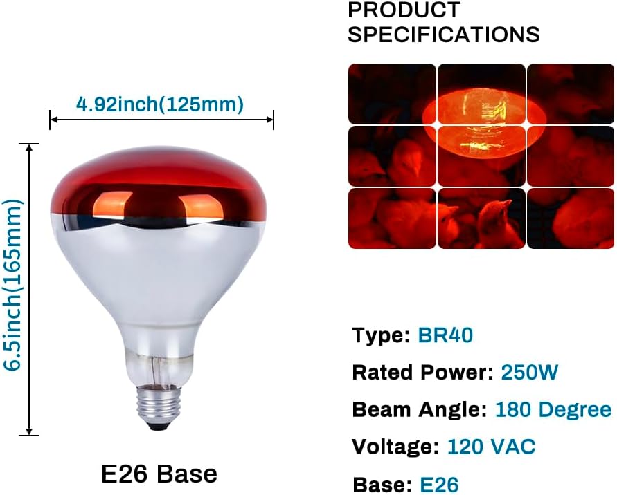 6-pack-250w-heat-lamp-bulbs-for-chicks-r-2.jpg