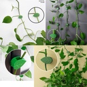 qrwt-30-pieces-plant-climbing-wall-fixtu-2.jpg
