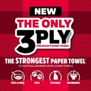 brawny-tear-a-square-3-ply-paper-towels--2.jpg