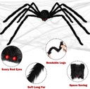 colovis-3-pack-halloween-giant-spider-de-3.jpg