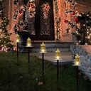 illuminew-outdoor-christmas-decorations--6.jpg