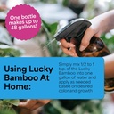 grow-more-lucky-bamboo-fertilizer-2-2-2--3.jpg
