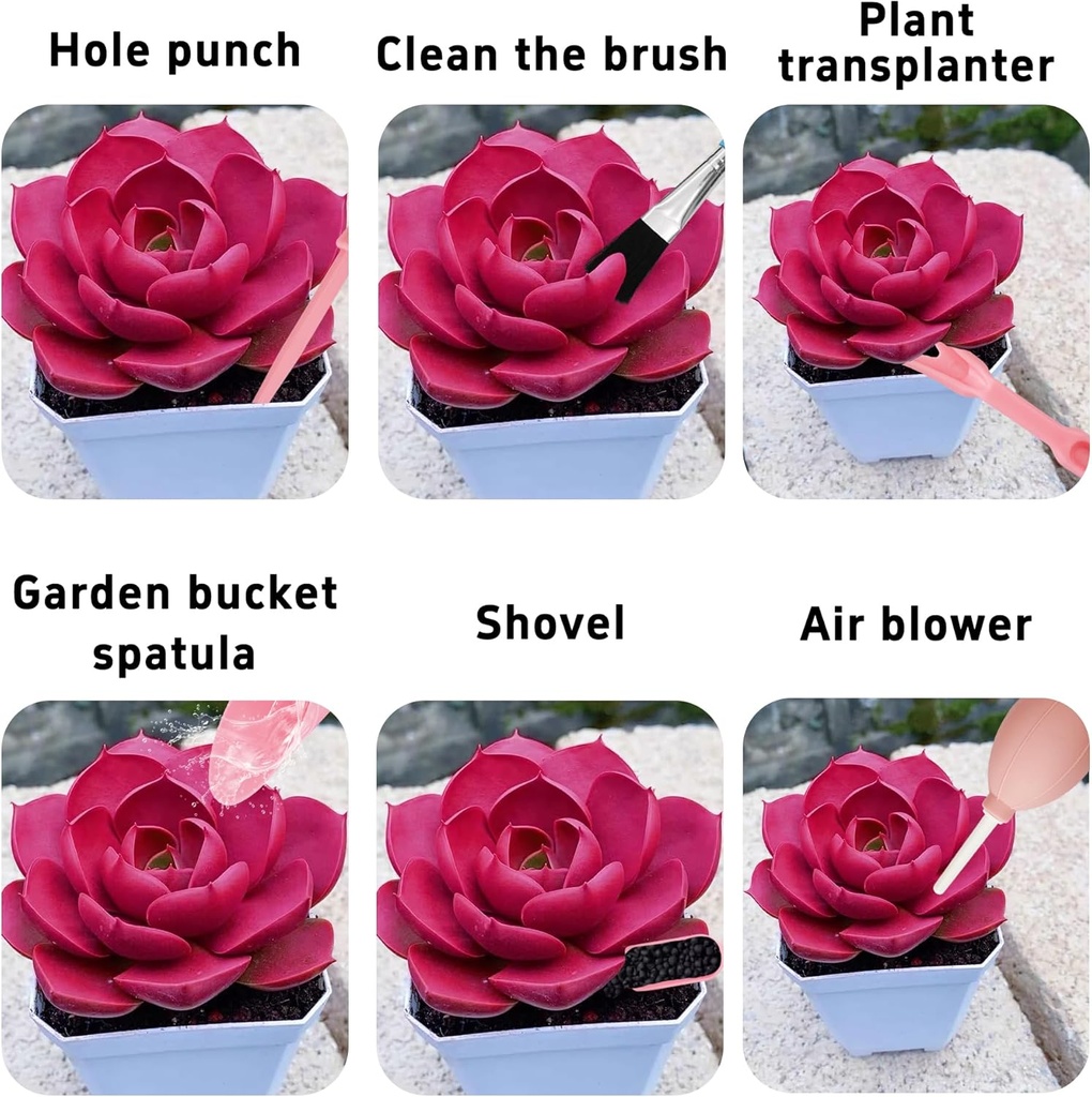 6pcs-mini-succulent-tools-set-garden-han-6.jpg