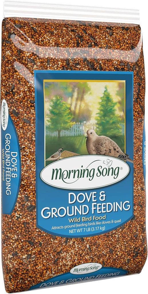 morning-song-dove-ground-feeding-wild-bi-2.jpg