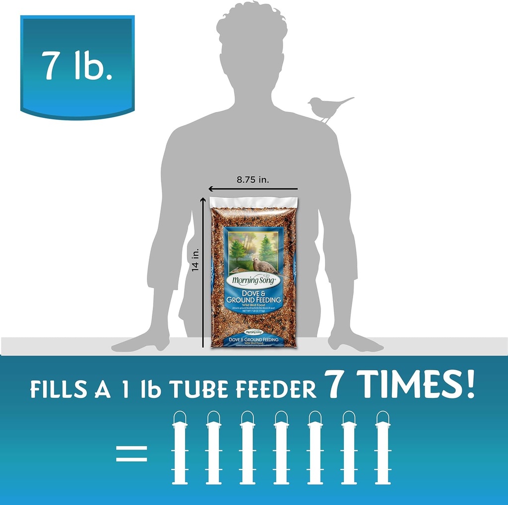 morning-song-dove-ground-feeding-wild-bi-4.jpg